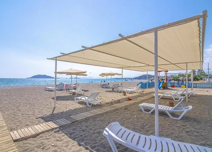 Villa Beachfront , Private Starfish 8